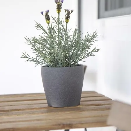 Apartament Golf & Playa A 1 Min Castellón de la Plana