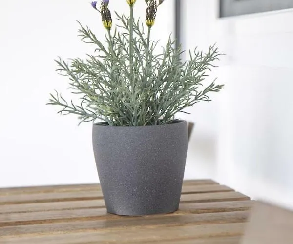 Apartament Golf & Playa A 1 Min Castellón de la Plana